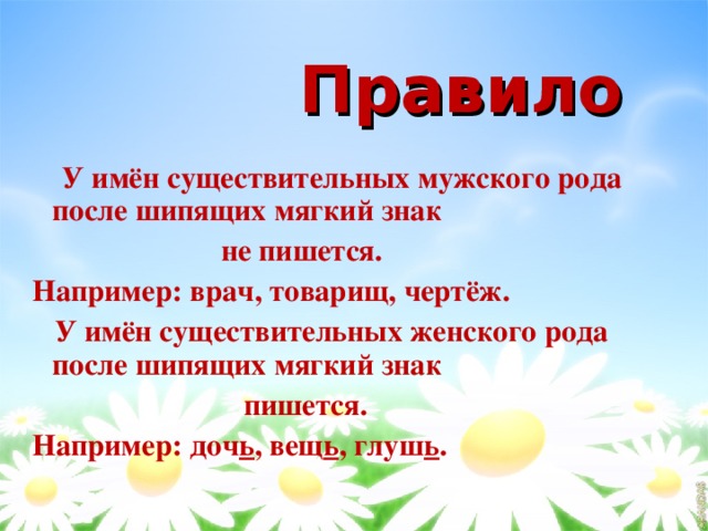  Правило  У имён существительных мужского рода после шипящих мягкий знак  не пишется. Например: врач, товарищ, чертёж.  У имён существительных женского рода после шипящих мягкий знак  пишется. Например: доч ь , вещ ь , глуш ь . 