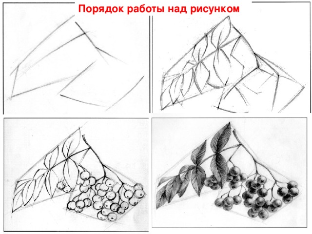 Порядок работы над рисунком 