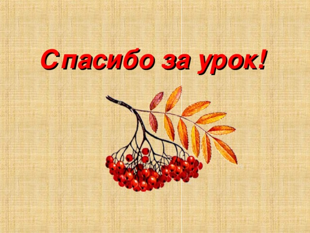 Спасибо за урок! 