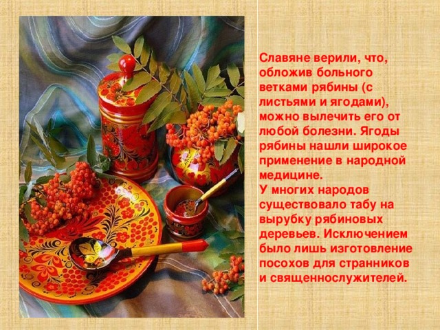 Славяне верили, что, обложив больного ветками рябины (с листьями и ягодами), можно вылечить его от любой болезни. Ягоды рябины нашли широкое применение в народной медицине. У многих народов существовало табу на вырубку рябиновых деревьев. Исключением было лишь изготовление посохов для странников и священнослужителей.  