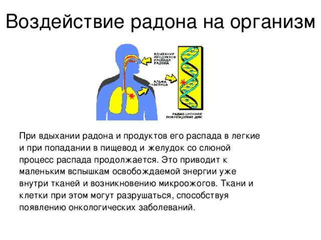 Оценка периода полураспада находящихся в воздухе продуктов распада газа радона презентация