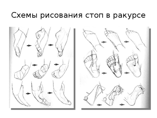 20 положений. Схема рисования стоп. Стопа схема рисунок. Нарисовать стопу схема. Рисуем стопу с обозначениями.