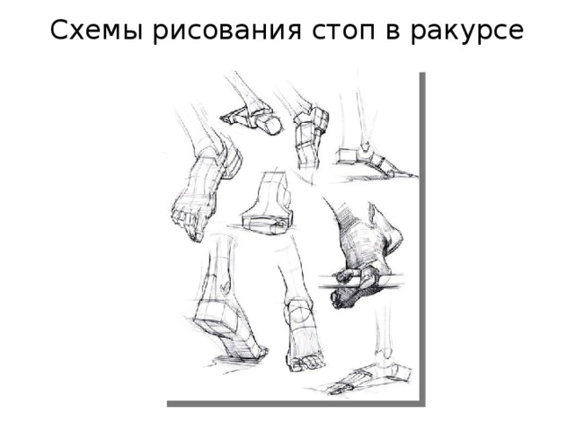 Схемы рисования стоп в ракурсе 
