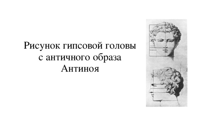 Рисунок гипсовой головы с античного образа Антиноя  