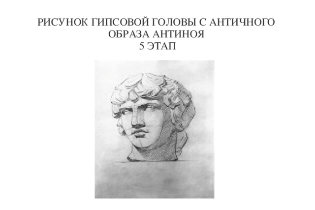 РИСУНОК ГИПСОВОЙ ГОЛОВЫ С АНТИЧНОГО ОБРАЗА АНТИНОЯ  5 ЭТАП  