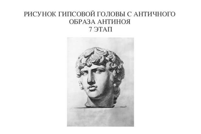 РИСУНОК ГИПСОВОЙ ГОЛОВЫ С АНТИЧНОГО ОБРАЗА АНТИНОЯ  7 ЭТАП  