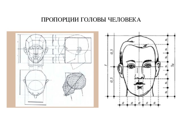 Как называется изображение головы