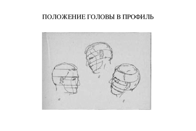 ПОЛОЖЕНИЕ ГОЛОВЫ В ПРОФИЛЬ  