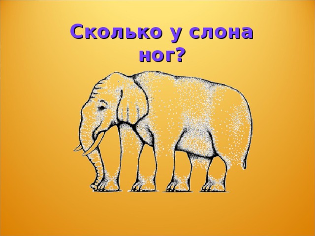 Сколько ног