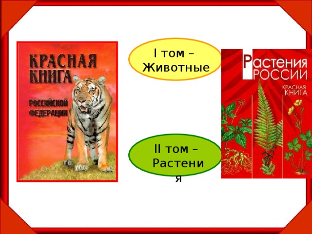 Презентация для дошкольников красная книга рб