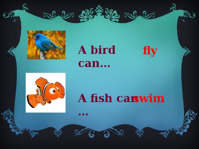 A bird can… fly swim A fish can … 