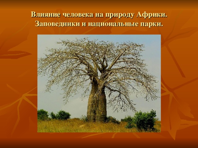 Влияние человека на природу Африки. Заповедники и национальные парки. 