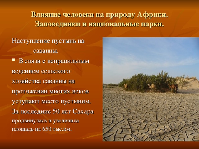 Влияние человека на природу Африки. Заповедники и национальные парки. Наступление пустынь на  саванны. В связи с неправильным ведением сельского хозяйства саванны на протяжении многих веков уступают место пустыням. За последние 50 лет Сахара продвинулась и увеличила площадь на 650 тыс.км. 