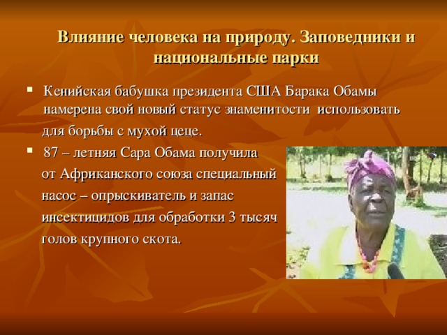 Влияние человека на природу. Заповедники и национальные парки Кенийская бабушка президента США Барака Обамы намерена свой новый статус знаменитости использовать  для борьбы с мухой цеце. 87 – летняя Сара Обама получила  от Африканского союза специальный  насос – опрыскиватель и запас  инсектицидов для обработки 3 тысяч  голов крупного скота. 