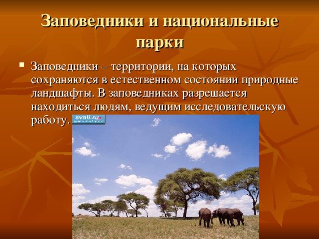 Заповедники и национальные парки Заповедники – территории, на которых сохраняются в естественном состоянии природные ландшафты. В заповедниках разрешается находиться людям, ведущим исследовательскую работу. 