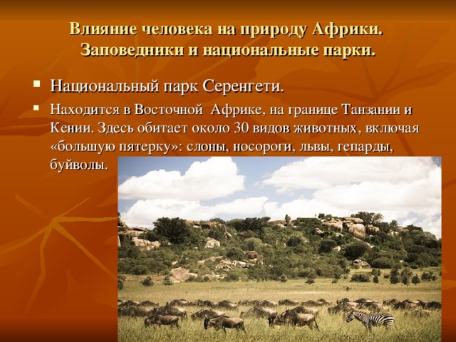 Влияние человека на природу Африки.  Заповедники и национальные парки. Национальный парк Серенгети. Находится в Восточной Африке, на границе Танзании и Кении. Здесь обитает около 30 видов животных, включая «большую пятерку»: слоны, носороги, львы, гепарды, буйволы. 