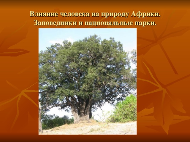 Влияние человека на природу Африки. Заповедники и национальные парки. 