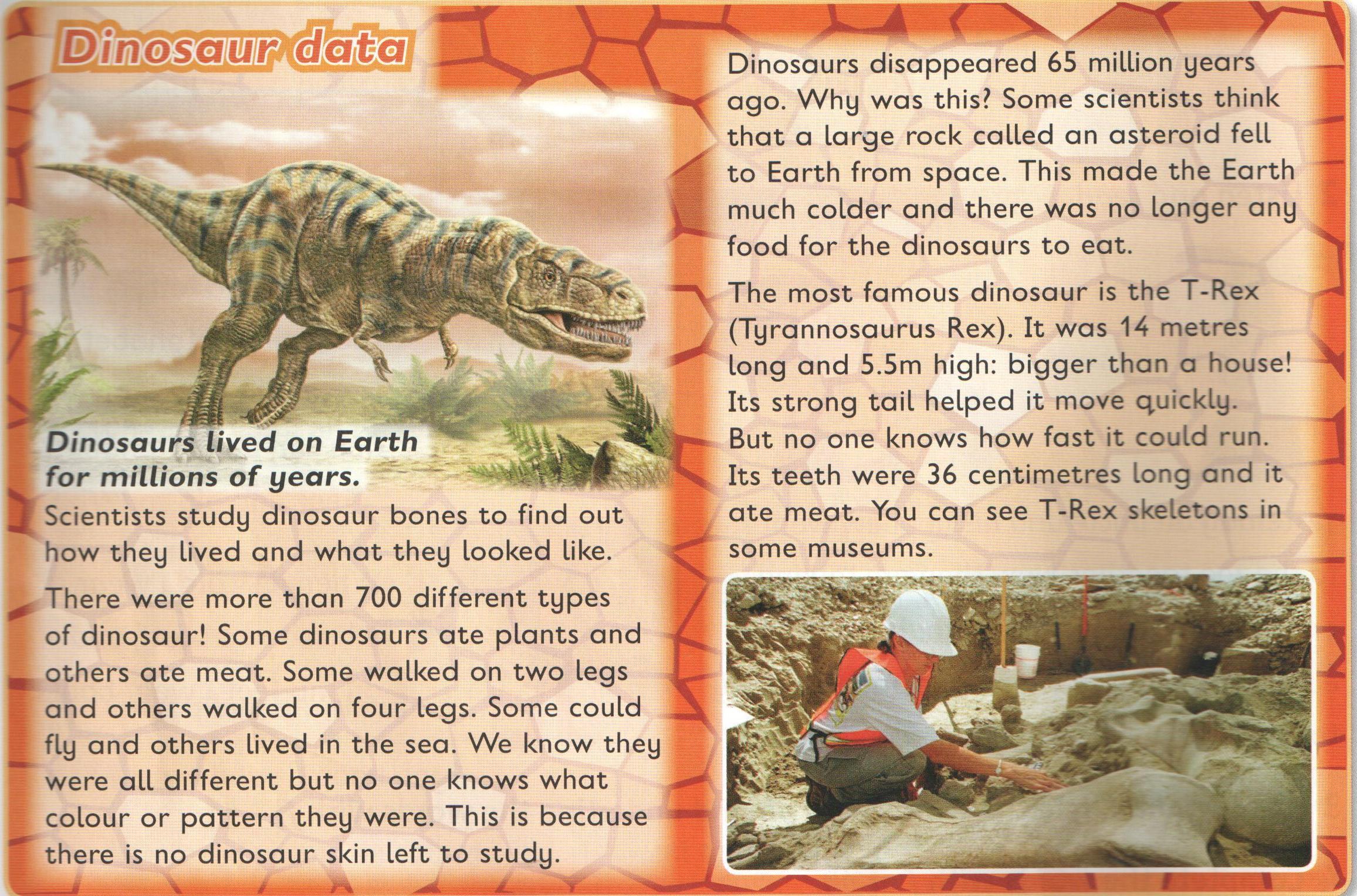 Many years ago two. Описание динозавров. Текст про динозавров. Динозавр for English. Динозавры описание для детей.