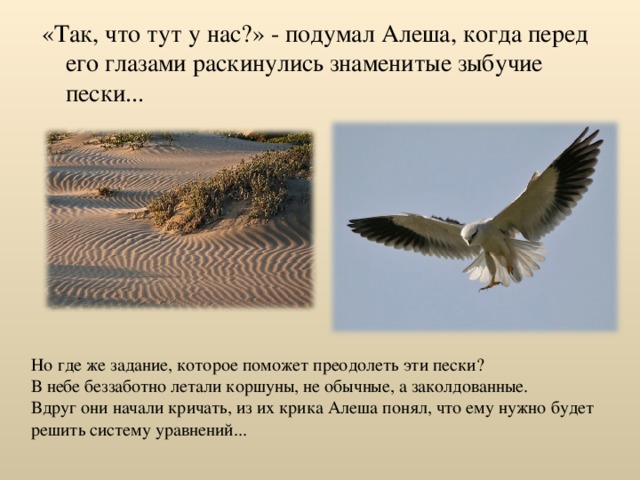 «Так, что тут у нас?» - подумал Алеша, когда перед его глазами раскинулись знаменитые зыбучие пески... Но где же задание, которое поможет преодолеть эти пески? В небе беззаботно летали коршуны, не обычные, а заколдованные. Вдруг они начали кричать, из их крика Алеша понял, что ему нужно будет решить систему уравнений... 