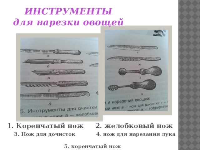 Презентация по технологии на тему "Нарезка овощей"