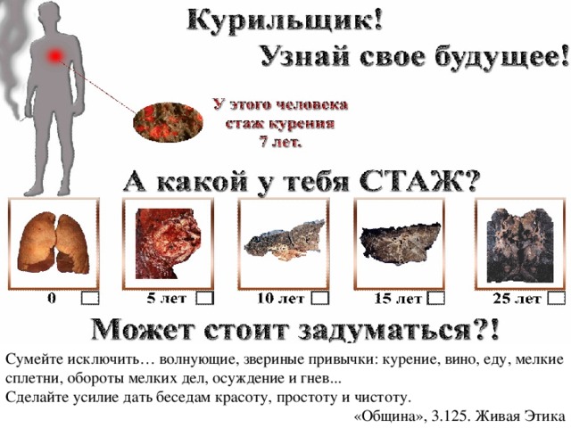 Сумейте исключить… волнующие, звериные привычки: курение, вино, еду, мелкие сплетни, обороты мелких дел, осуждение и гнев... Сделайте усилие дать беседам красоту, простоту и чистоту. «Община», 3.125. Живая Этика 