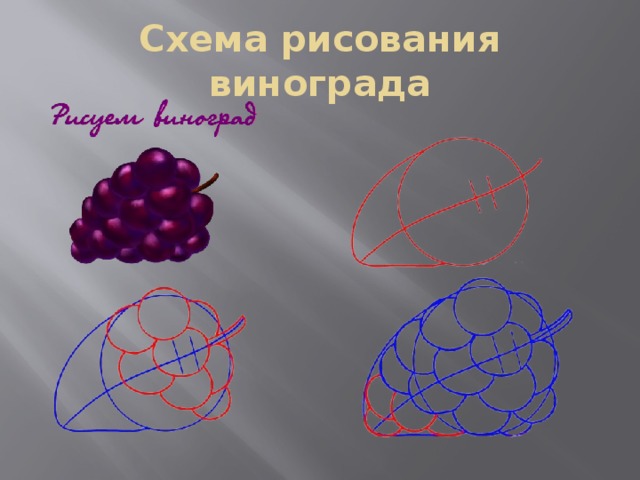 Схема рисования винограда 