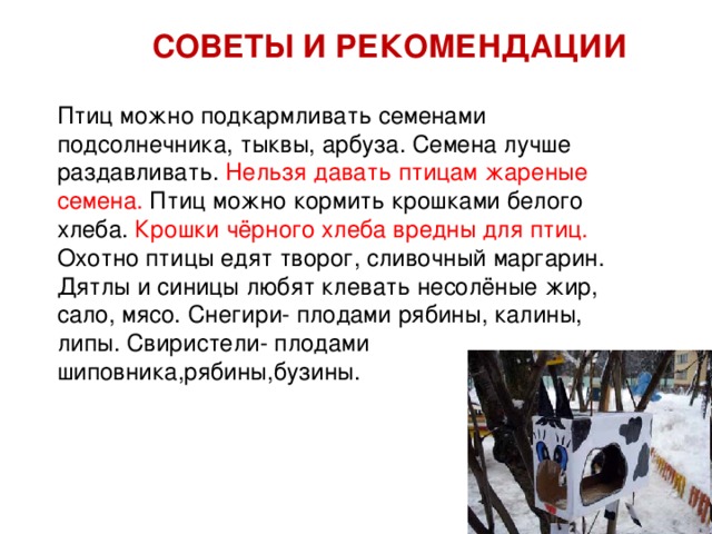 СОВЕТЫ И РЕКОМЕНДАЦИИ Птиц можно подкармливать семенами подсолнечника, тыквы, арбуза. Семена лучше раздавливать. Нельзя давать птицам жареные семена. Птиц можно кормить крошками белого хлеба. Крошки чёрного хлеба вредны для птиц. Охотно птицы едят творог, сливочный маргарин. Дятлы и синицы любят клевать несолёные жир, сало, мясо. Снегири- плодами рябины, калины, липы. Свиристели- плодами шиповника,рябины,бузины.  