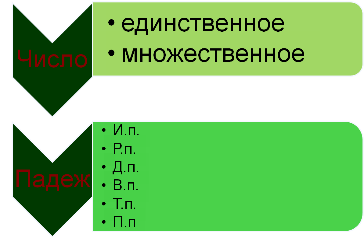 Разработка урока русского языка 