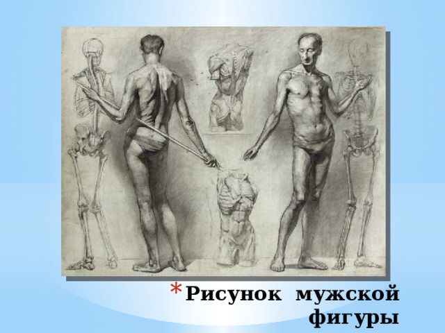 Рисунок мужской фигуры 