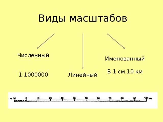 Численный именованный и линейный масштабы показывают