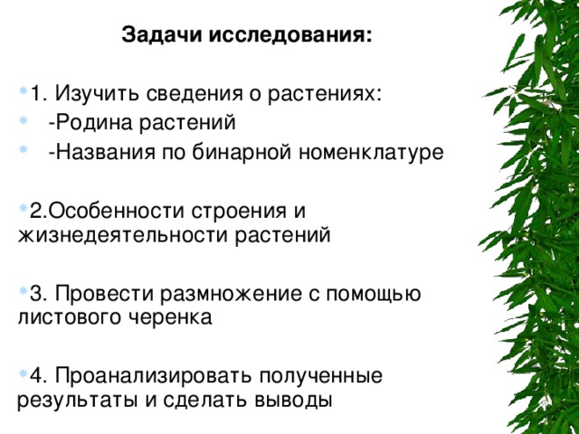 Каков план