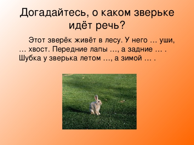 Догадайтесь, о каком зверьке идёт речь?  Этот зверёк живёт в лесу. У него … уши, … хвост. Передние лапы …, а задние … . Шубка у зверька летом …, а зимой … . 