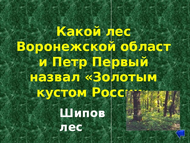 Шипов лес воронежской области карта