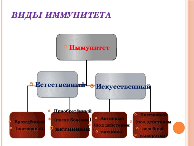 Иммунитет биология 8. Виды таможенных иммунитетов. Понятие и виды таможенных иммунитетов.. Таможенный иммунитет это понятие. Искусственный иммунитет в биологии 8 класс.