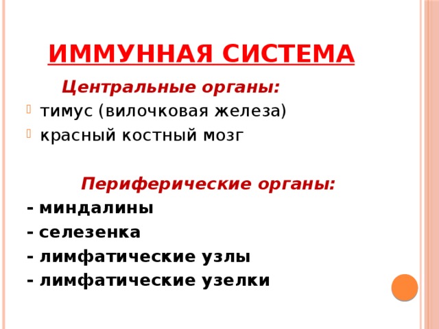 Тест по теме иммунитет 8 класс биология