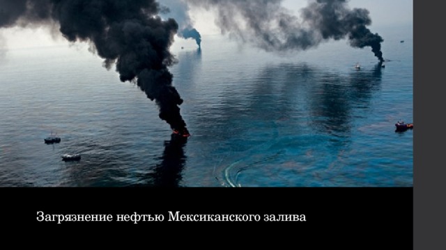 Загрязнение нефтью Мексиканского залива 