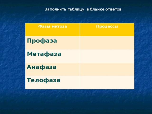 Заполнить таблицу в бланке ответов. Митоз. Фазы митоза Процессы Профаза Метафаза Анафаза Телофаза 