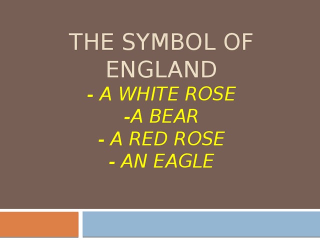 The symbol of england  - a white rose  -a bear  - a red rose  - an eagle 