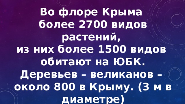 Во флоре Крыма более 2700 видов растений, из них более 1500 видов обитают на ЮБК. Деревьев – великанов – около 800 в Крыму. (3 м в диаметре) Кустарников – 113 видов кипарисы 