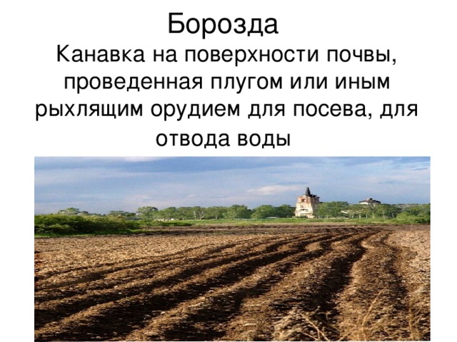 Борозды и извилины теменной доли. Эрозионные борозды и промоины. Борозда на поле. Праздная борозда. Борозды рельеф.