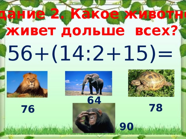 Задание 2. Какое животное живет дольше всех? 56+(14:2+15)= 64 78 76  90 