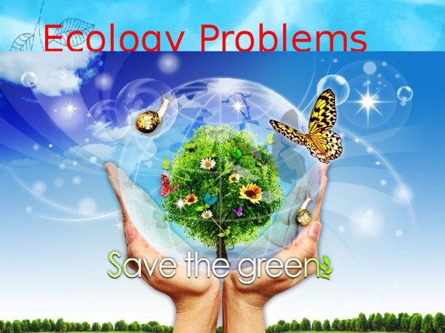 Ecology Problems 