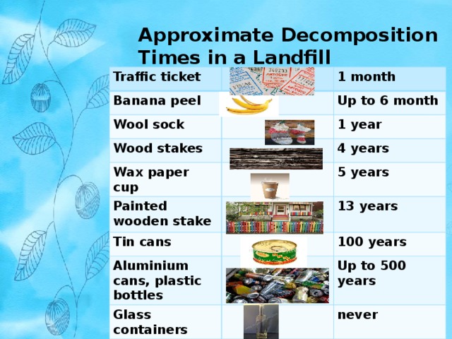 Approximate Decomposition Times in a Landfill Traffic ticket Banana peel 1 month Wool sock Up to 6 month Wood stakes 1 year Wax paper cup 4 years Painted wooden stake 5 years Tin cans 13 years Aluminium cans, plastic bottles 100 years Glass containers Up to 500 years never 