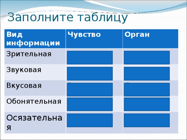 Заполните таблицу Вид информации Чувство Зрительная Орган Зрение Звуковая Глаза Слух Вкусовая Уши Вкус Обонятельная Осязательная Обоняние Язык Нос Осязание Кожа 