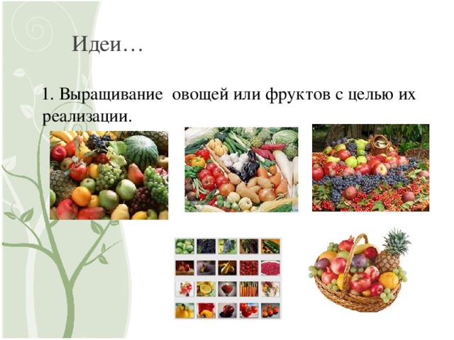 Идеи…  1. Выращивание овощей или фруктов с целью их реализации. 
