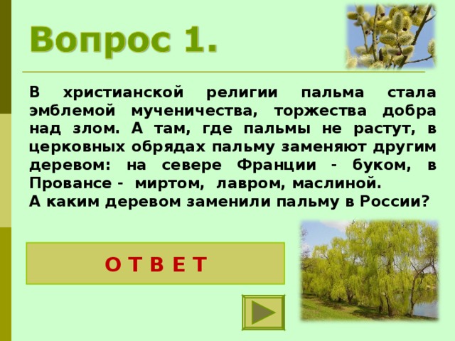 В христианской религии пальма стала эмблемой мученичества, торжества добра над злом. А там, где пальмы не растут, в церковных обрядах пальму заменяют другим деревом: на севере Франции - буком, в Провансе - миртом, лавром, маслиной. А каким деревом заменили пальму в России? О Т В Е Т Вербой 