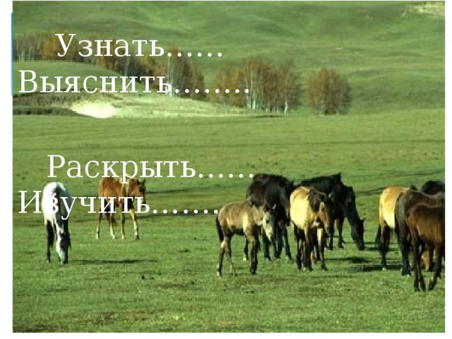  Узнать…… Выяснить……..  Раскрыть……Изучить……. 