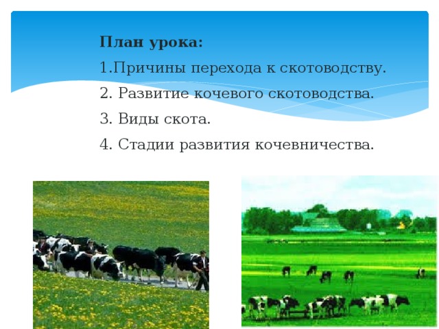 План урока: 1.Причины перехода к скотоводству. 2. Развитие кочевого скотоводства. 3. Виды скота. 4. Стадии развития кочевничества. 