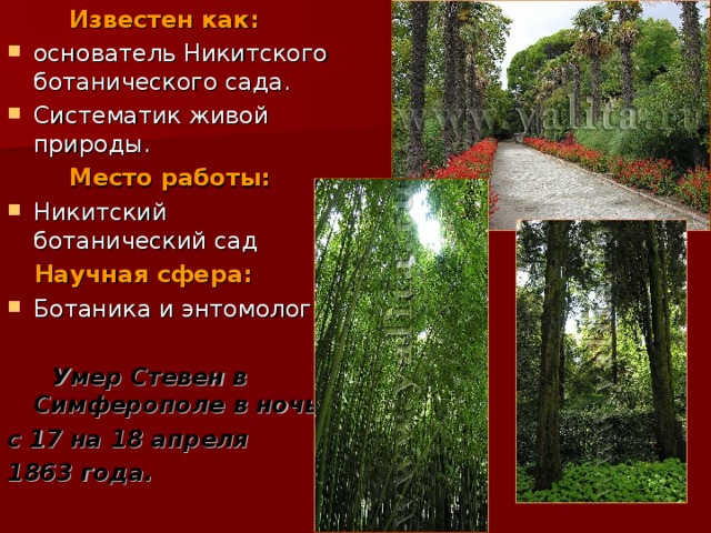 Известен как:  основатель Никитского ботанического сада. Систематик живой природы. Место работы:  Никитский ботанический сад Научная сфера:  Ботаника и энтомология  Умер Стевен в Симферополе в ночь с 17 на 18 апреля 1863 года. 