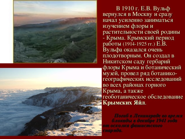  В 1910 г. Е.В. Вульф вернулся в Москву и сразу начал усиленно заниматься изучением флоры и растительности своей родины - Крыма. Крымский период работы (1914-1925 гг.) Е.В. Вульфа оказался очень плодотворным. Он создал в Никитском саду гербарий флоры Крыма и ботанический музей, провел ряд ботанико-географических исследований во всех районах горного Крыма, а также геоботаническое обследование Крымских Яйл .   Погиб в Ленинграде во время блокады в декабре 1941 года от осколка фашистского снаряда. 